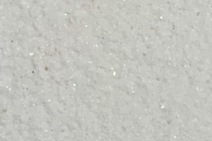 101